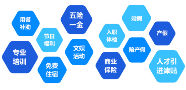 提供全面、系統、專(zhuān)業(yè)的培訓和廣闊的<br>職業(yè)發(fā)展空間和提升機會(huì )